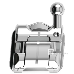 MẮC CÀI TỰ BUỘC DẠNG DAMON SLB